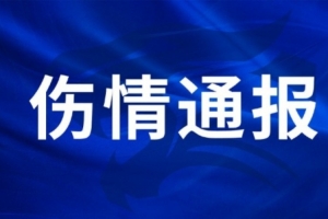 塞内加尔vs伊拉克直播在线观看_塞内加尔vs伊拉克直播在线观看在线观看_免费看直播