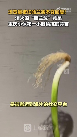 免费日本vs瑞典免费直播在线观看_免费日本vs瑞典免费直播在线观看在线观看_免费看直播